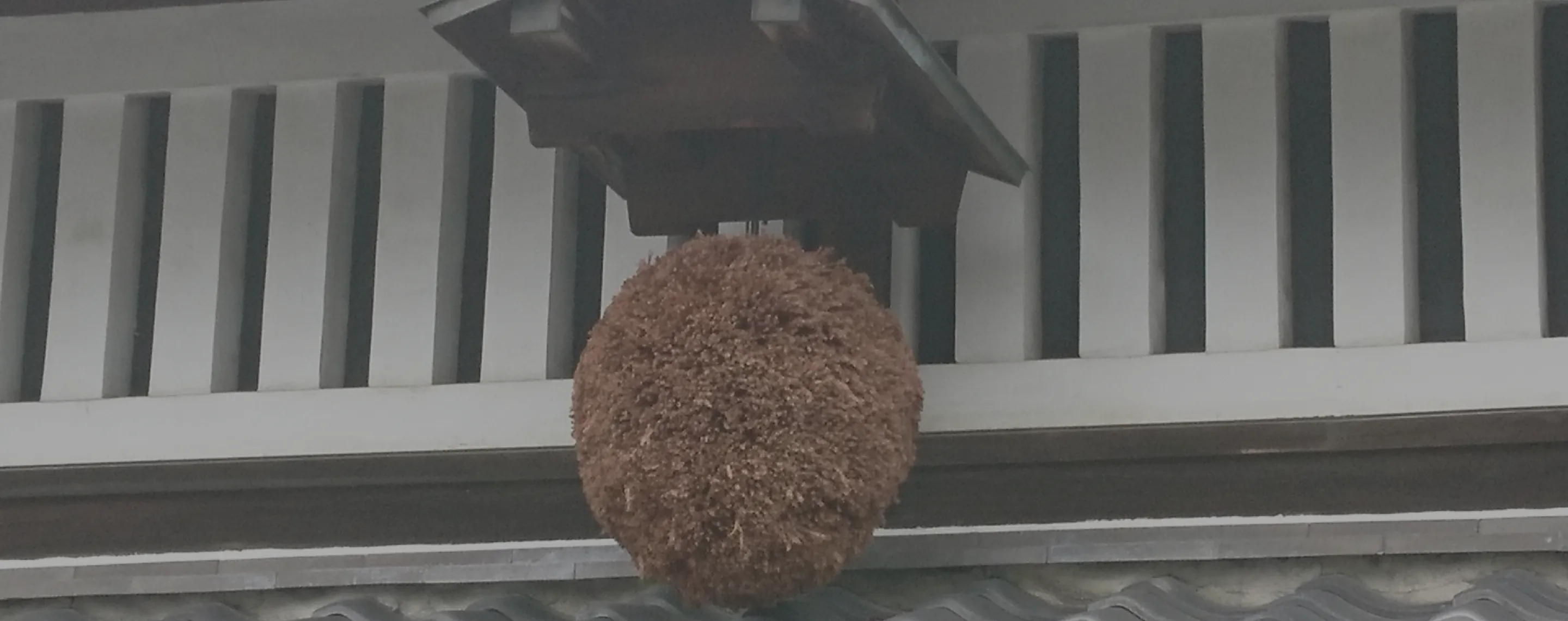 木箱の中で角度を変えて置かれた日本酒のメインビジュアル